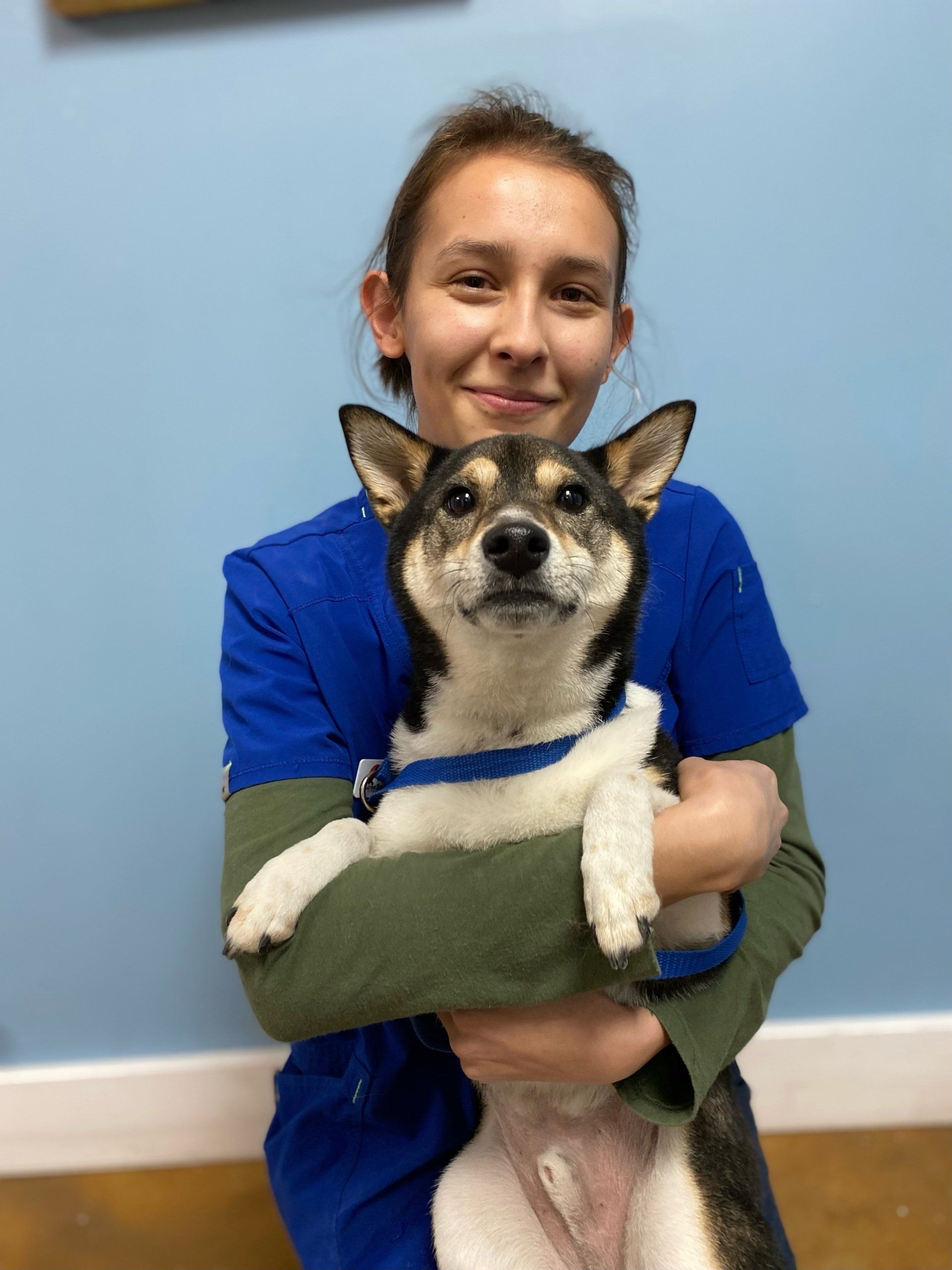 Adventure Pet Resort