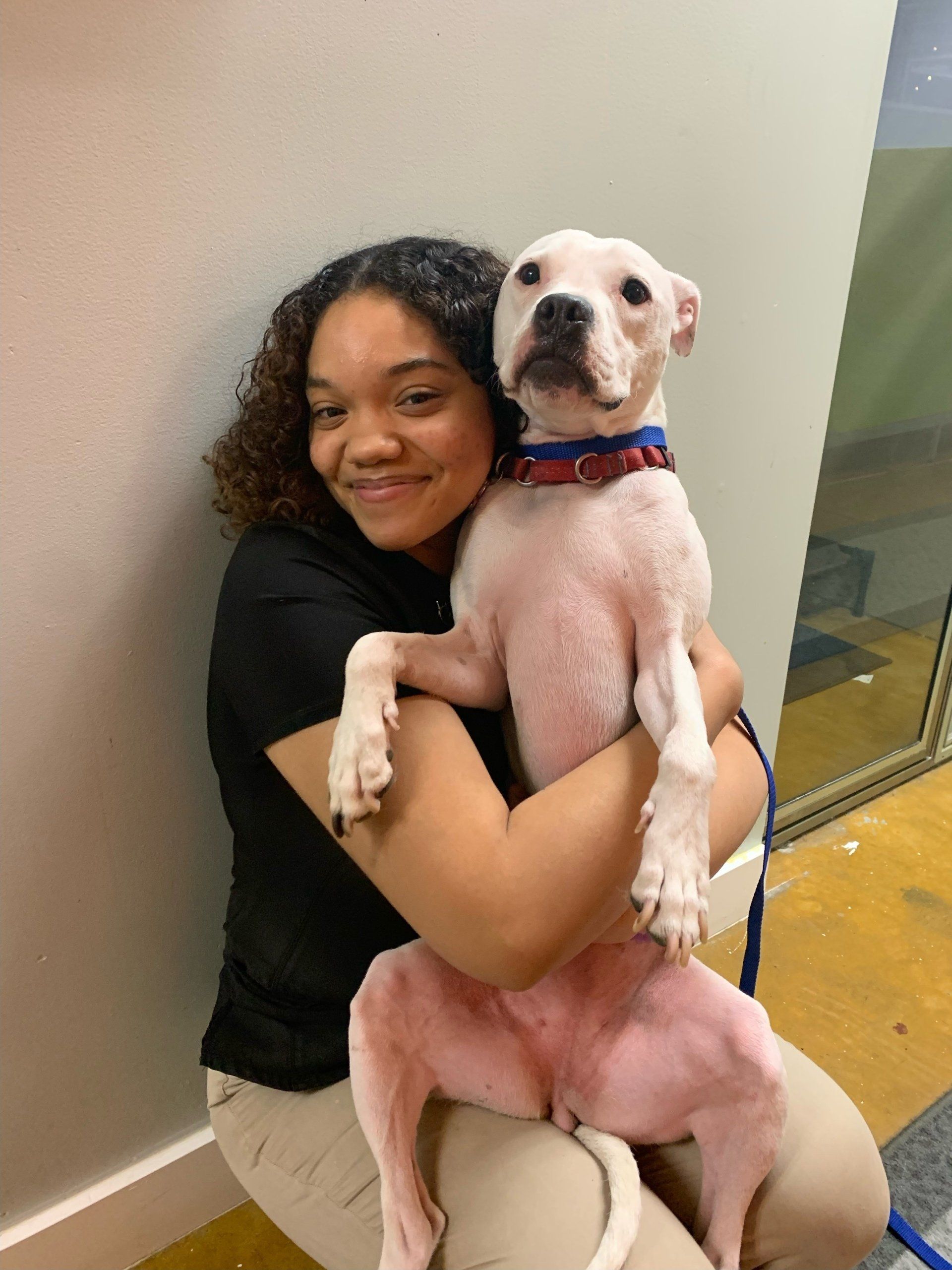 Adventure Pet Resort