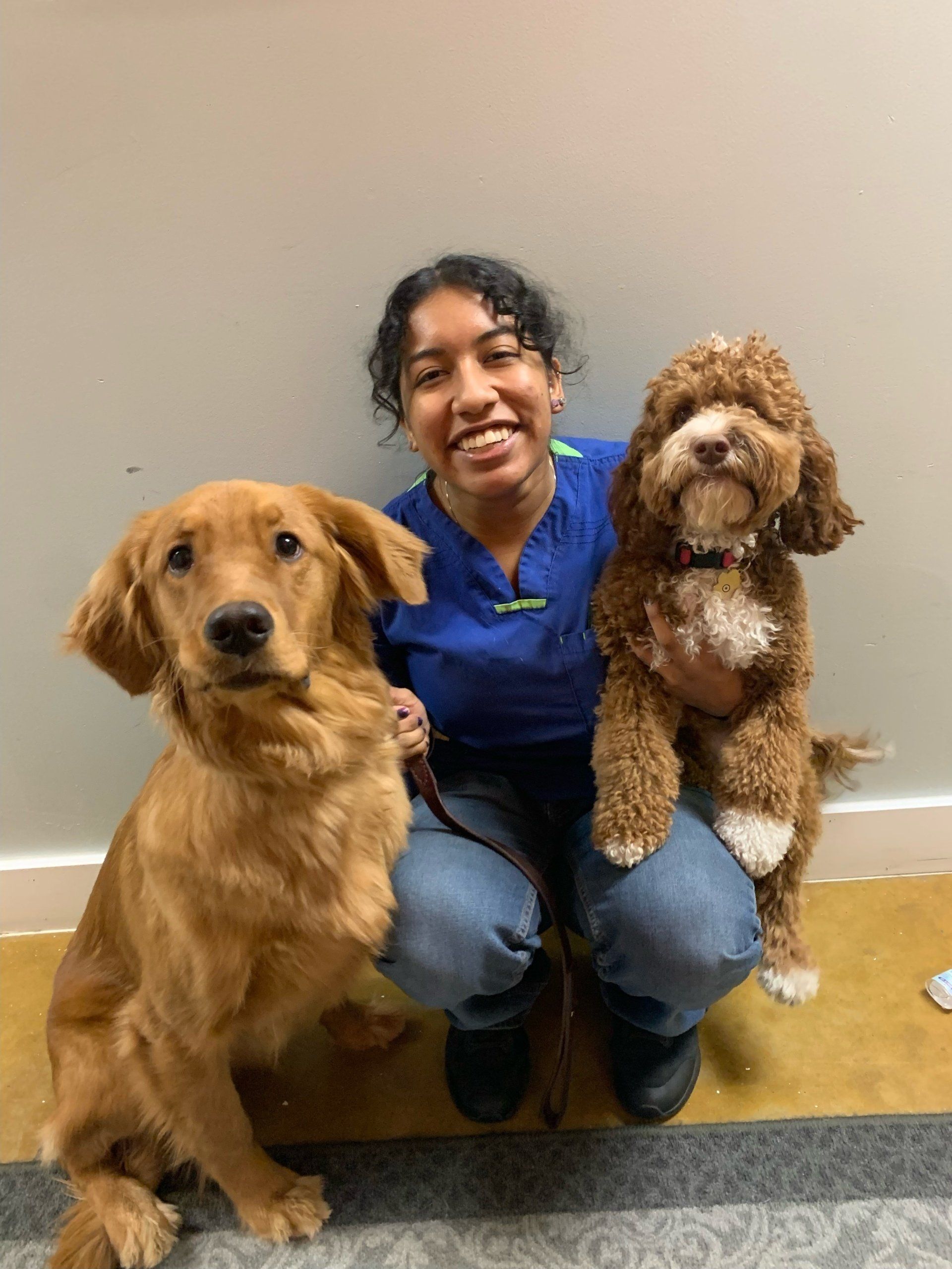 Adventure Pet Resort