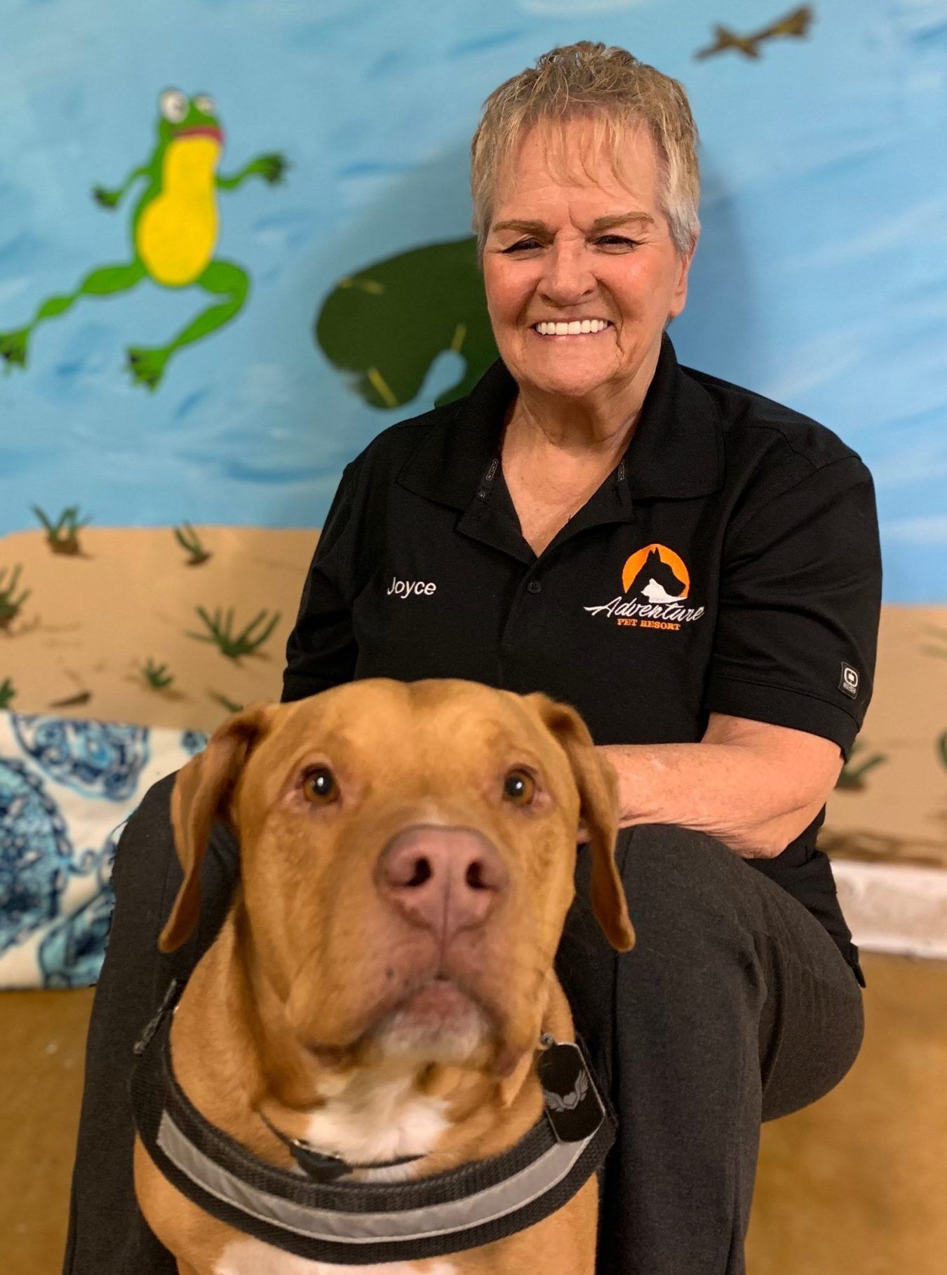 Adventure Pet Resort