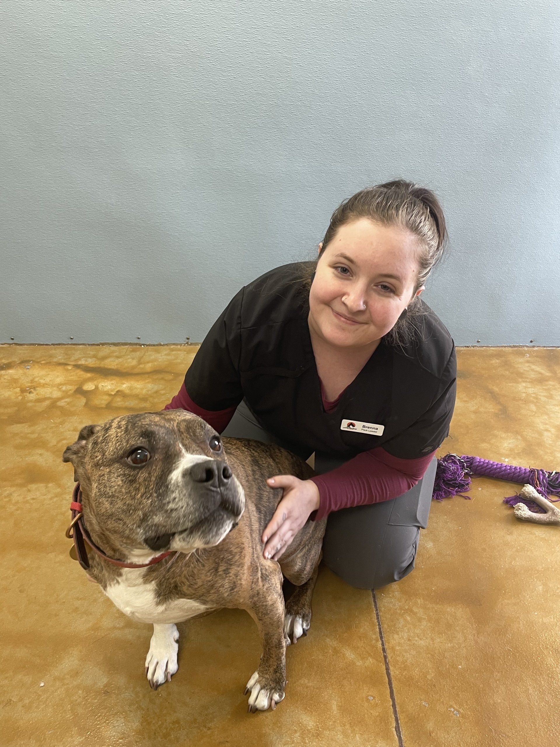 Adventure Pet Resort