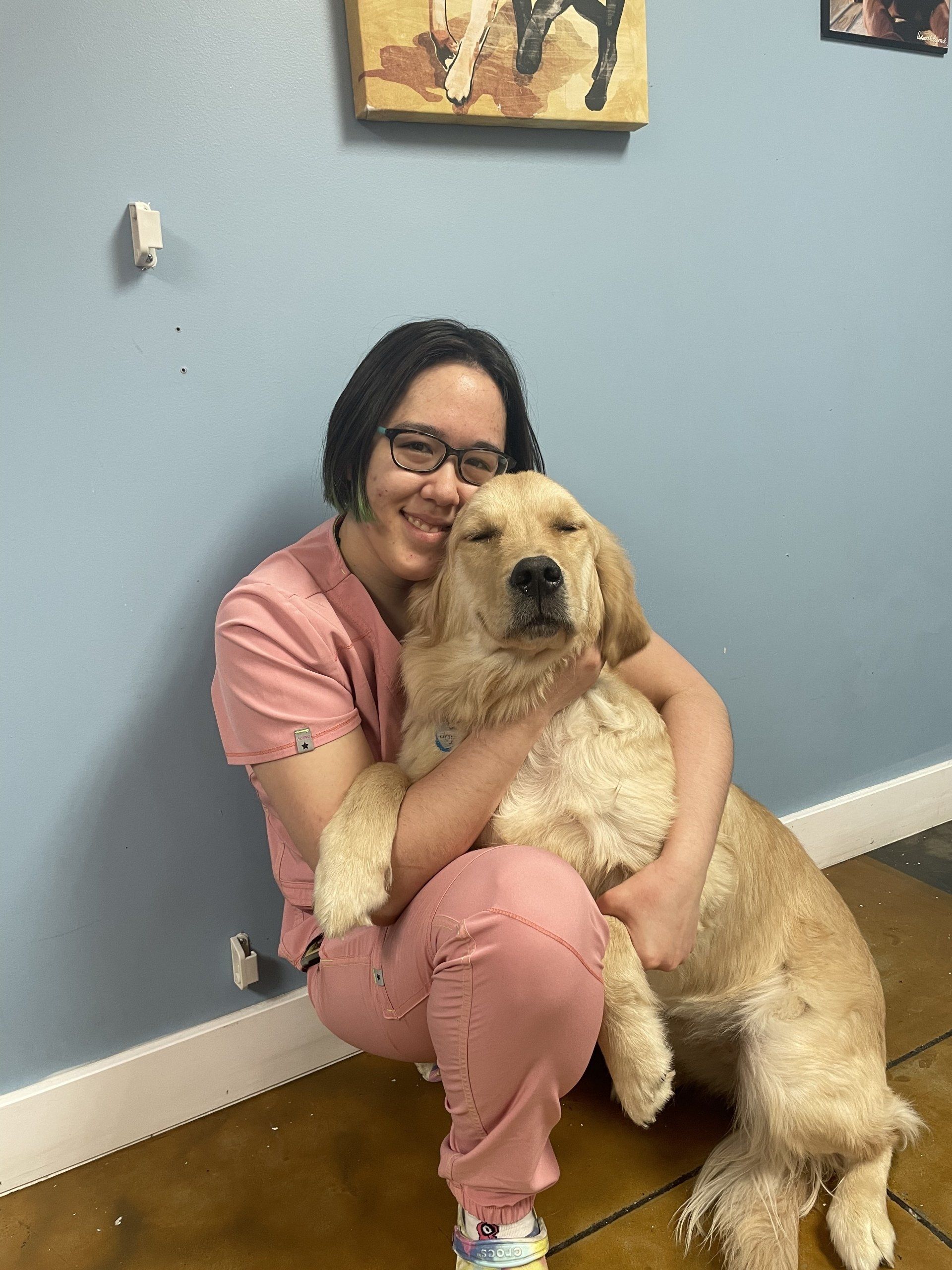 Adventure Pet Resort