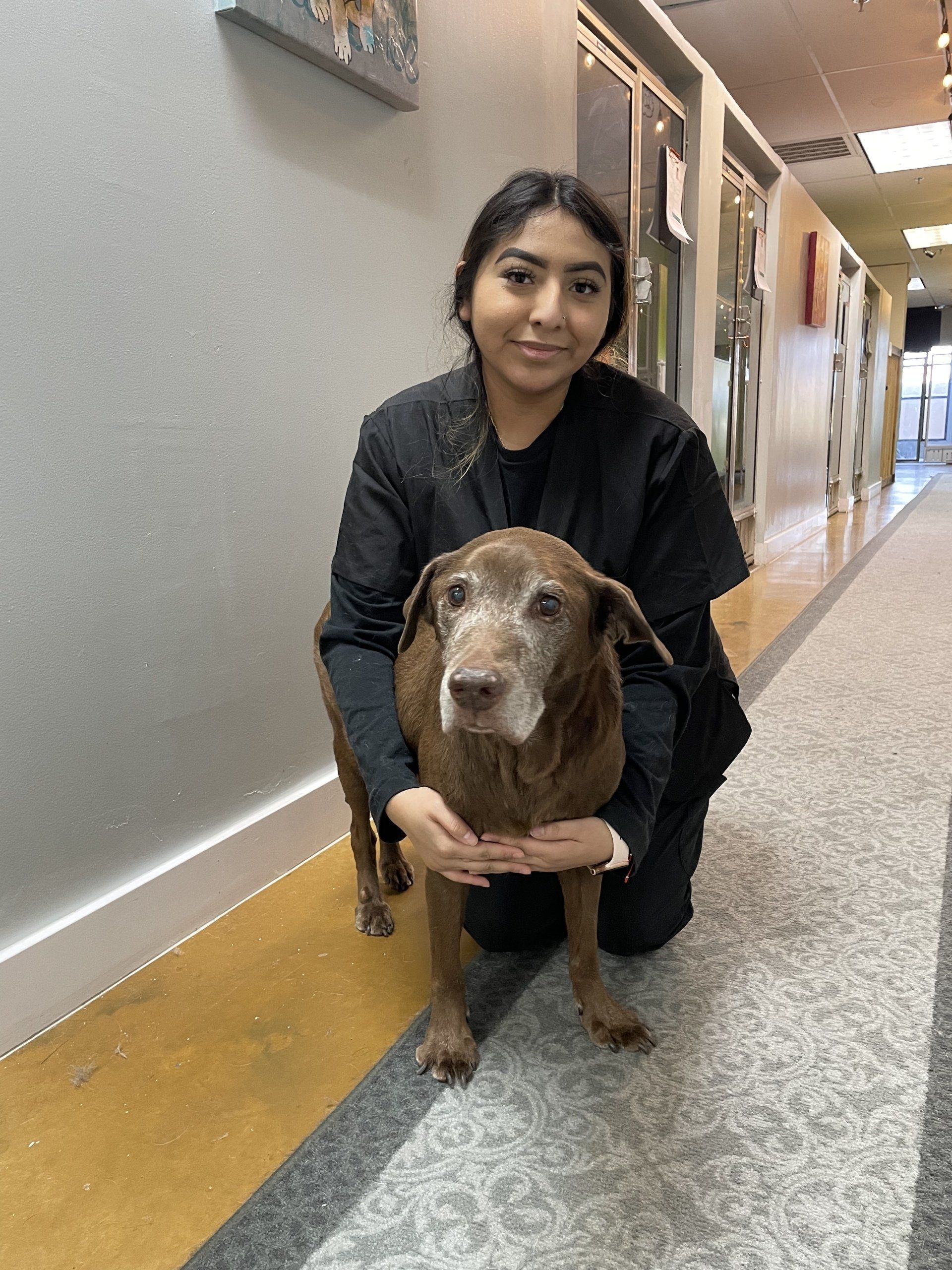 Adventure Pet Resort