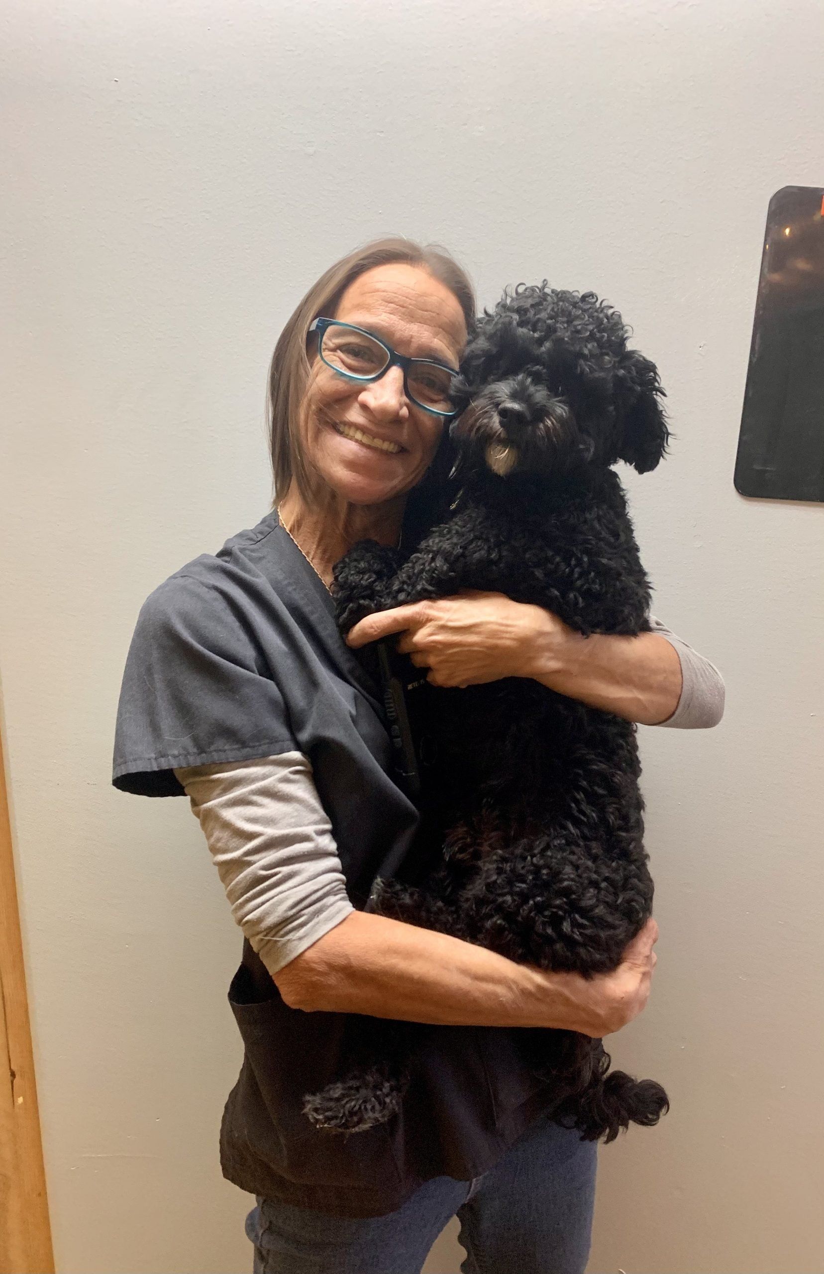 Adventure Pet Resort