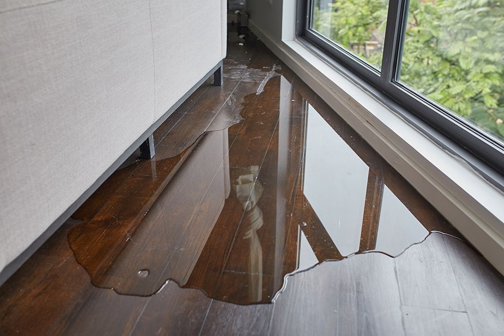 A puddle of water on a wooden floor next to a window.
