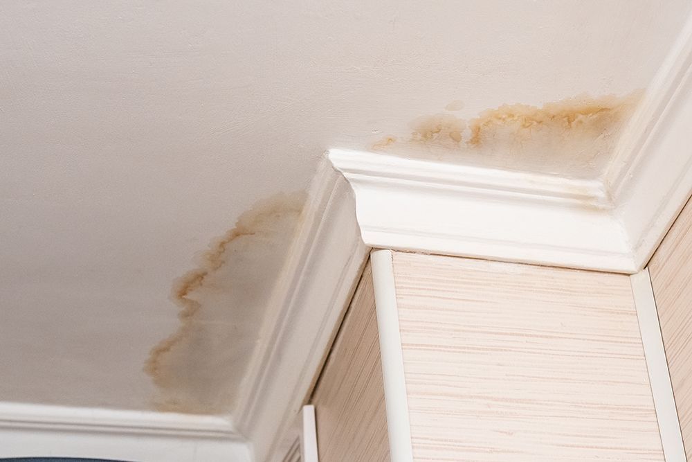 A ceiling with water stains on it and a corner of a wall.