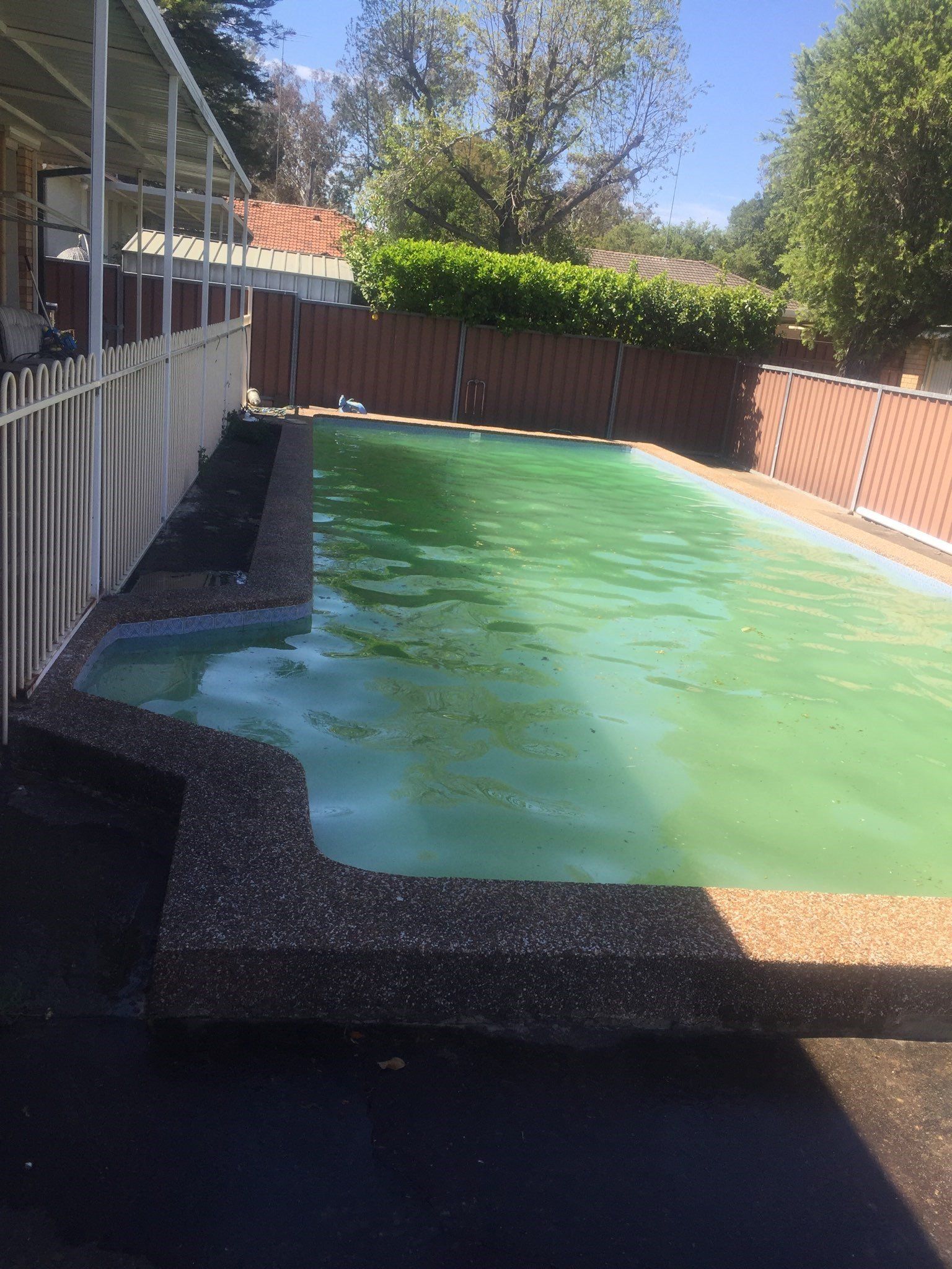 Dirty green water in the swimming pool | Penrith, NSW | Ian’s Pools Penrith