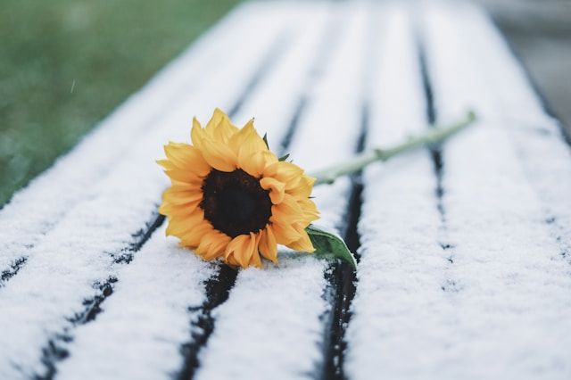 cremation services Allentown, PA