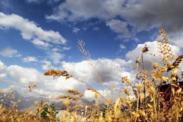 funeral homes Allentown, PA