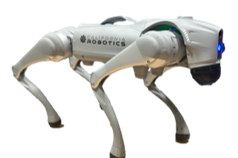 A robotic dog made by california robotics