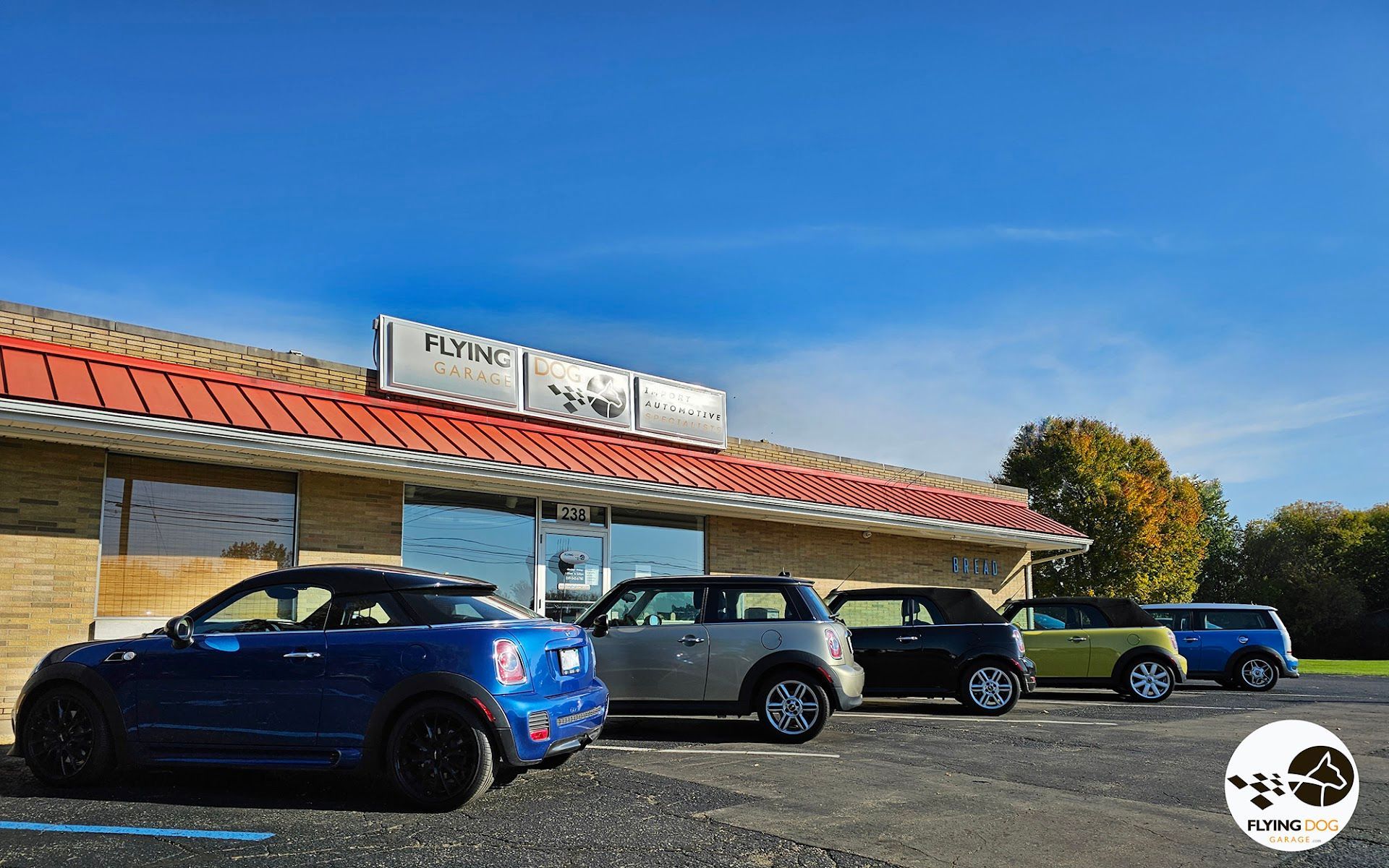 Import Auto Repairs in Kalamazoo, MI Flying Dog Garage