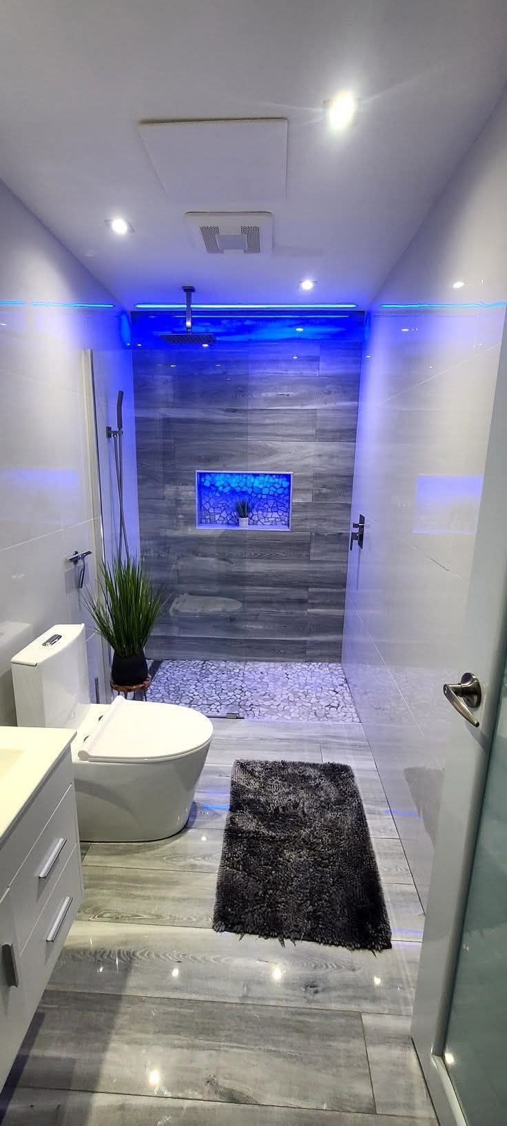 Une salle de bain avec WC, lavabo et douche.