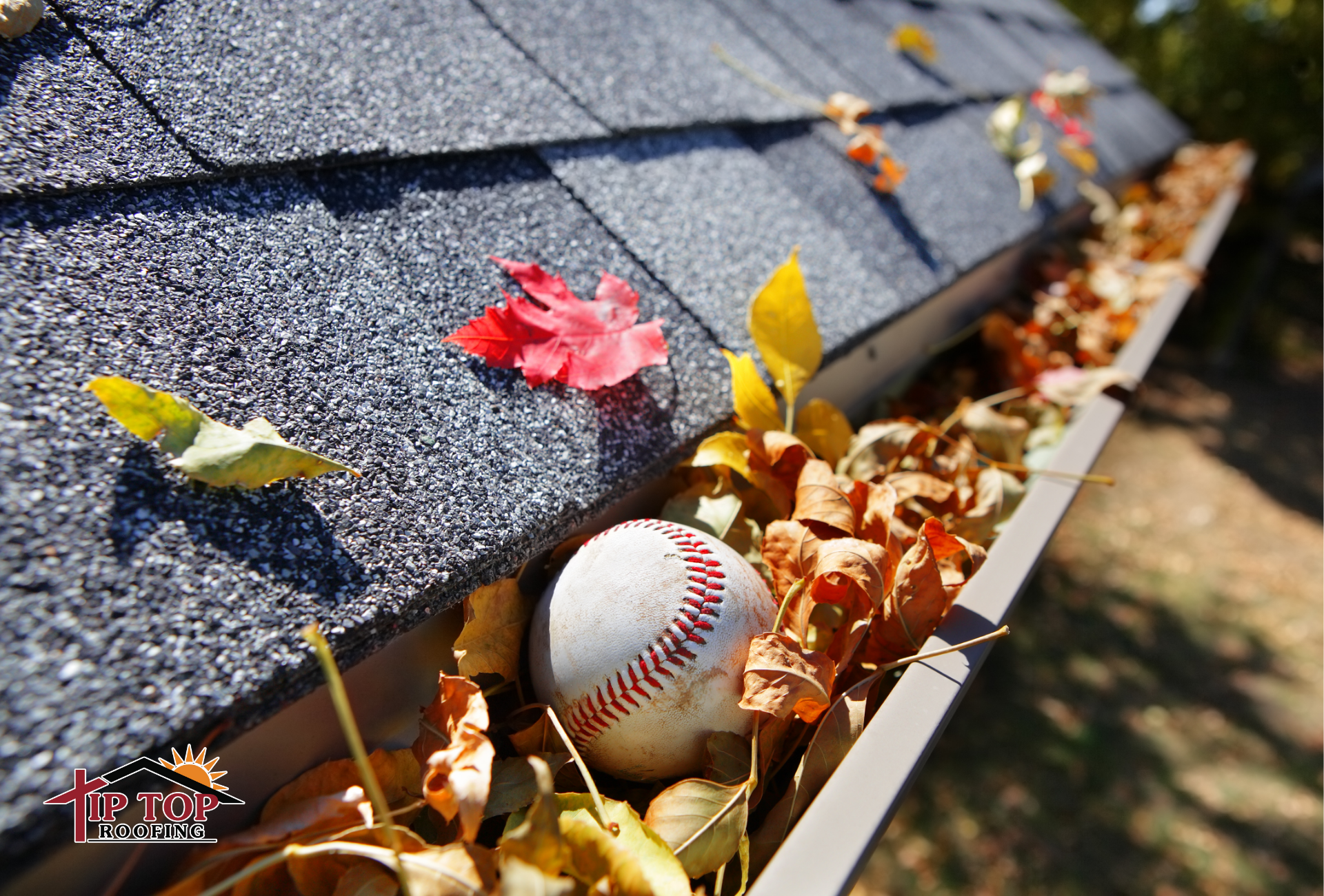 Residential roof with architectural shingles and a clogged gutter full of fall leaves needing season
