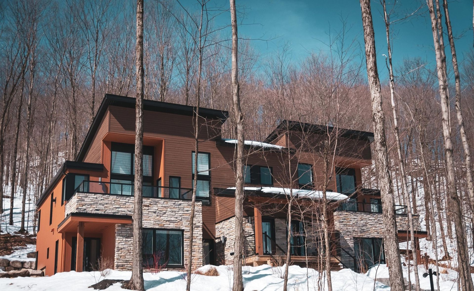 Une grande maison est entourée d'arbres couverts de neige dans les bois.