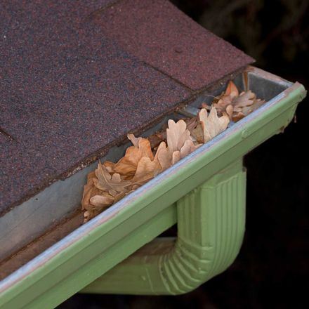 Gutter With Leaves — Columbus, OH — Urban Exterior Co Gutter With Leaves — Columbus, OH — Urban Exterior Co