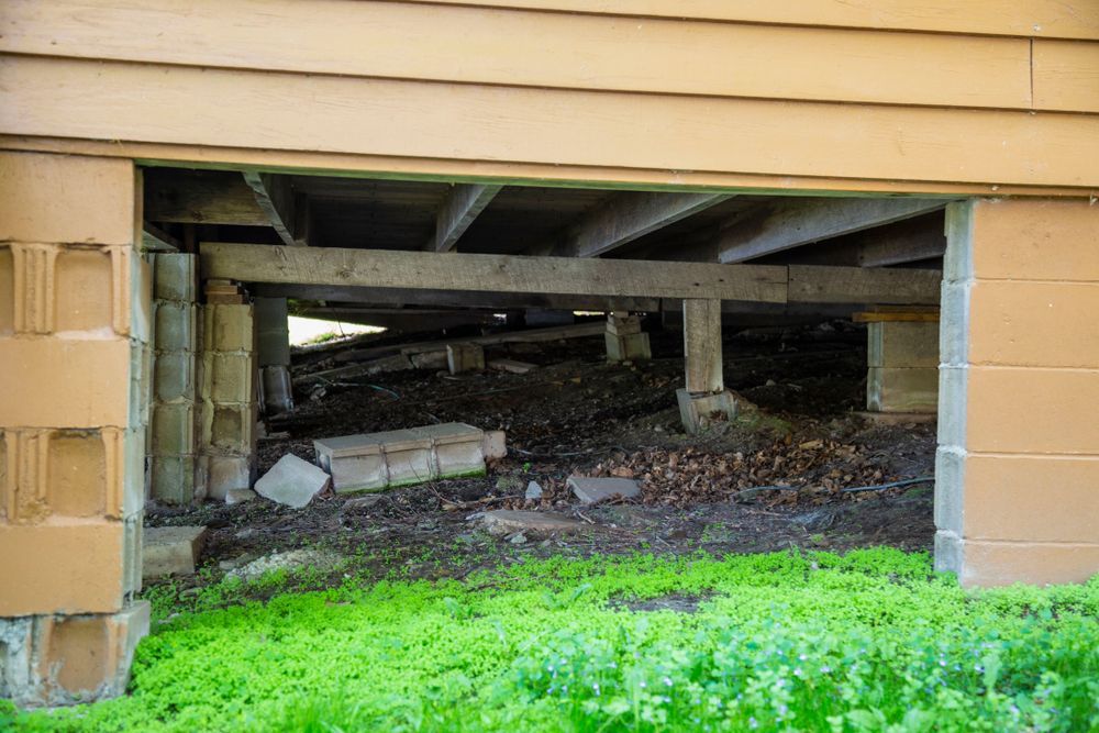 Opening in house foundation, showing dirt and debris under the structure with concrete supports.