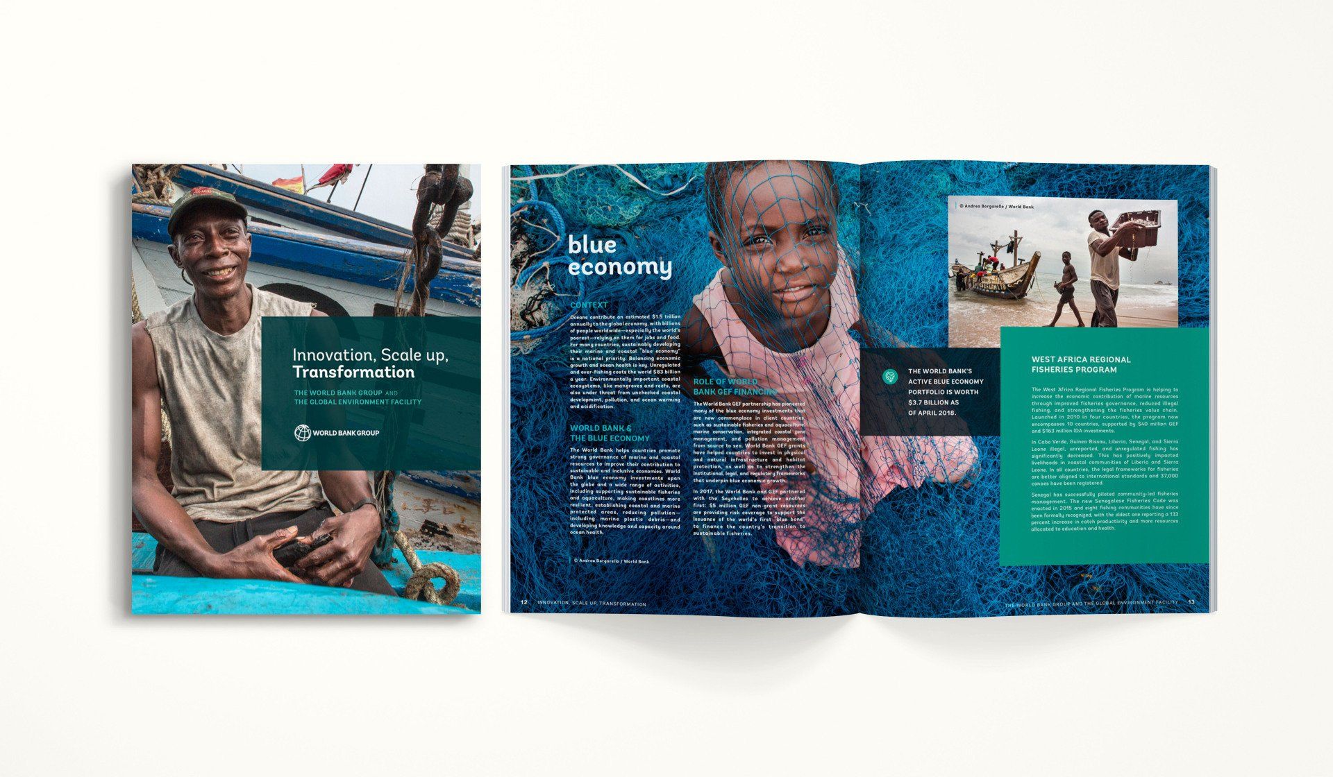The Global Environment Facility Report Design