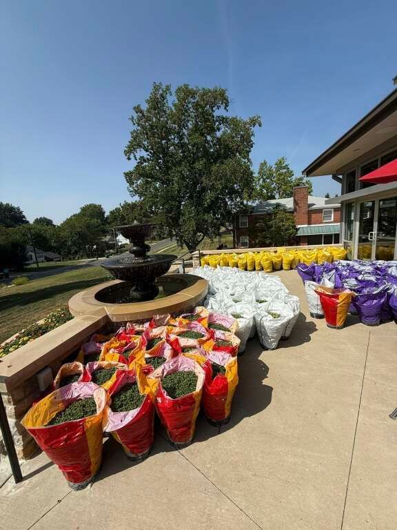 Bags filled with colorful materials are arranged on a sunny patio near a decorative fountain.
