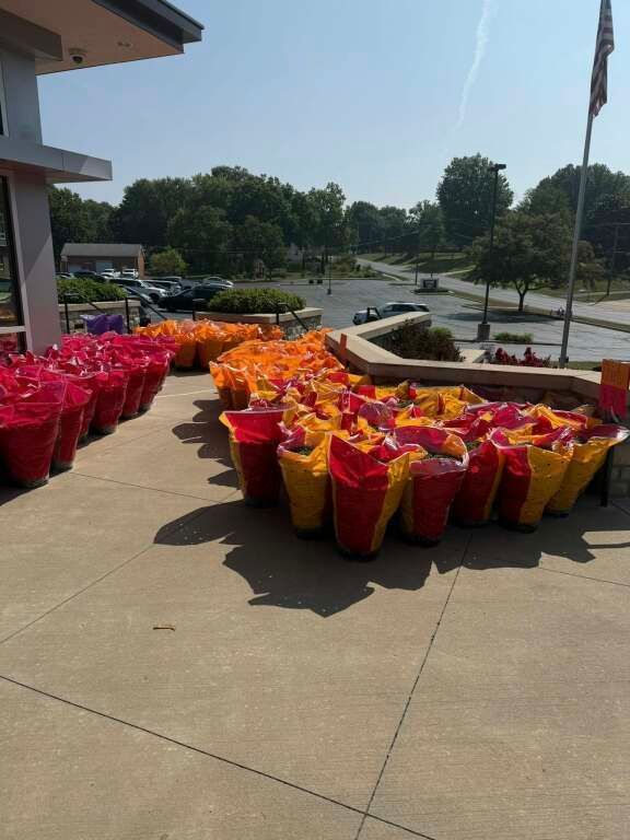 Rows of colorful buckets wrapped in red, orange, and yellow plastic coverings line a sunlit outdoor plaza.