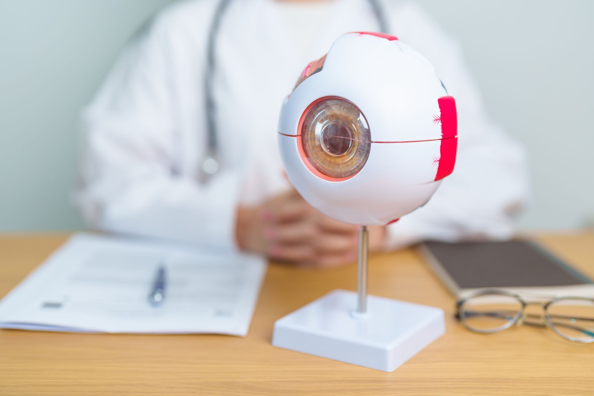 Eye Anatomy Model - Midland, TX - The Eye Institute