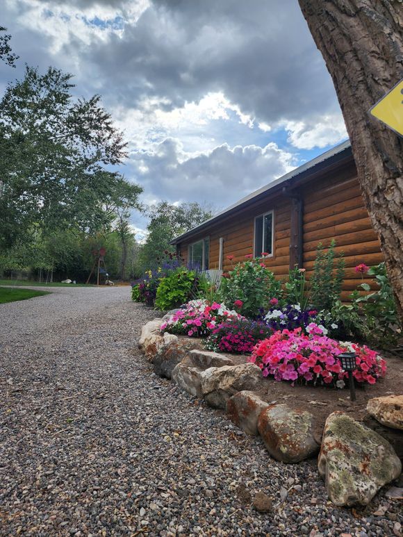 A gravel path leads toward a log cabin with a rock-bordered flower bed filled with vibrant pink and purple flowers.
