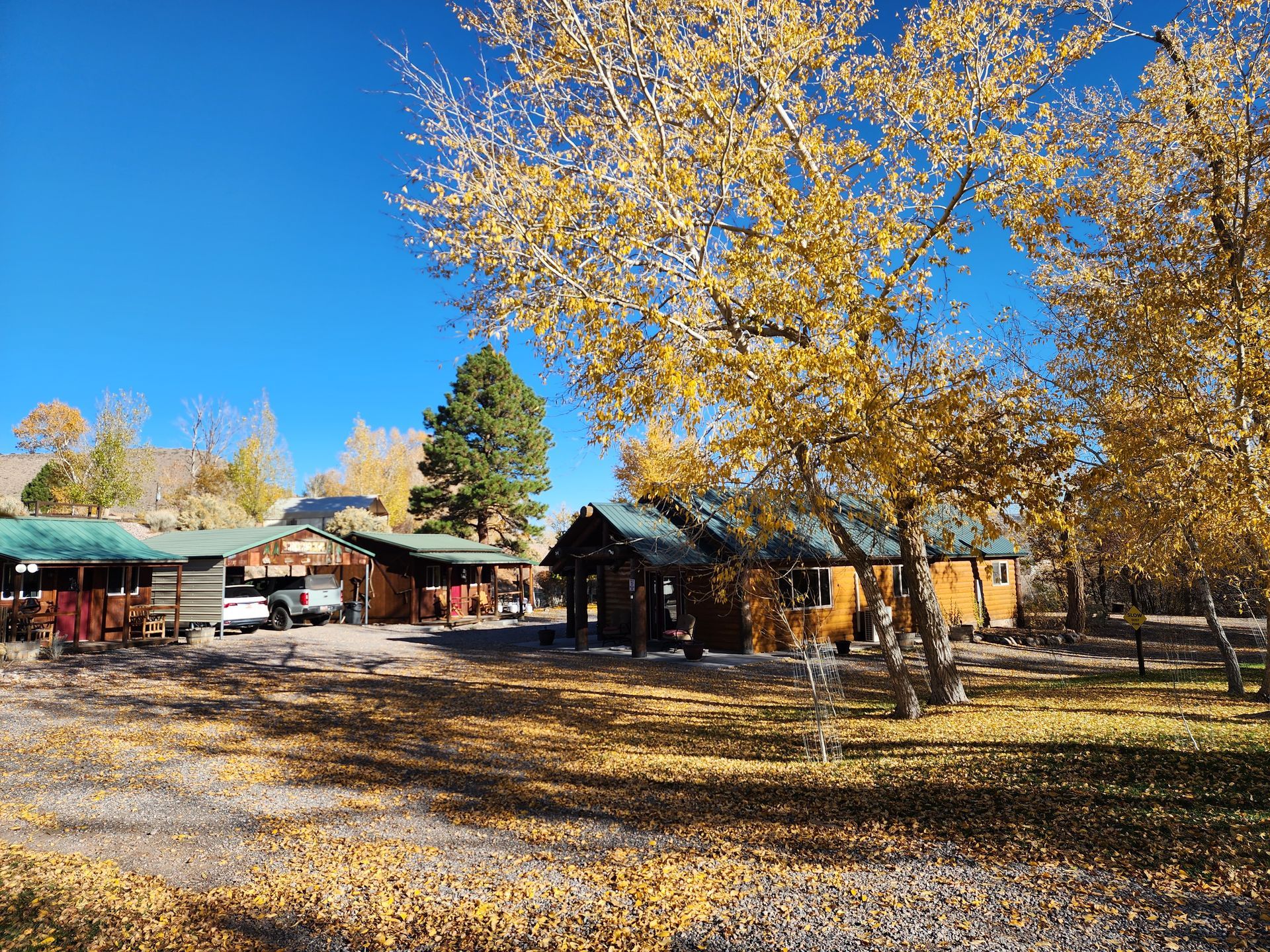Rustic cabins with green metal roofs sit nestled among trees with vibrant yellow autumn foliage under a clear blue sky.