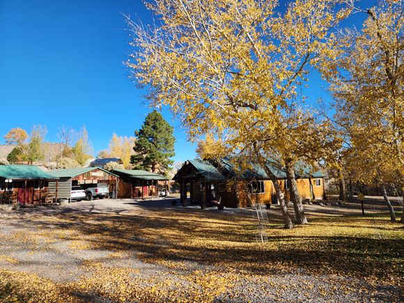 Autumnal trees with golden leaves surround wooden cabins and parked vehicles under a clear blue sky.
