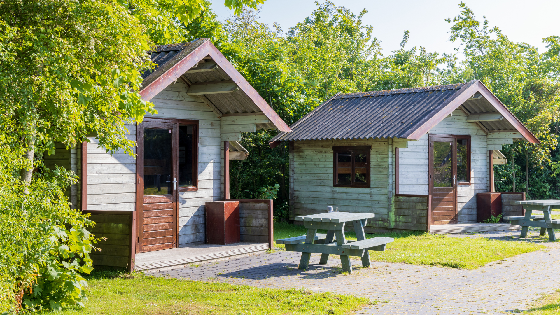 Automated Search Reports