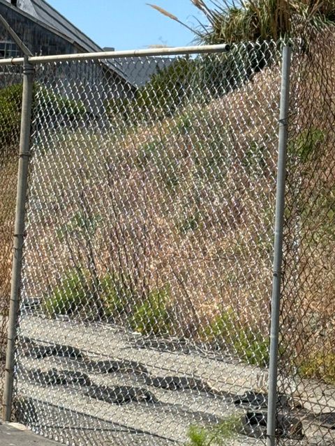 Chain-link fence in front of a grassy hillside. Gray metal posts and fence, sunny day.