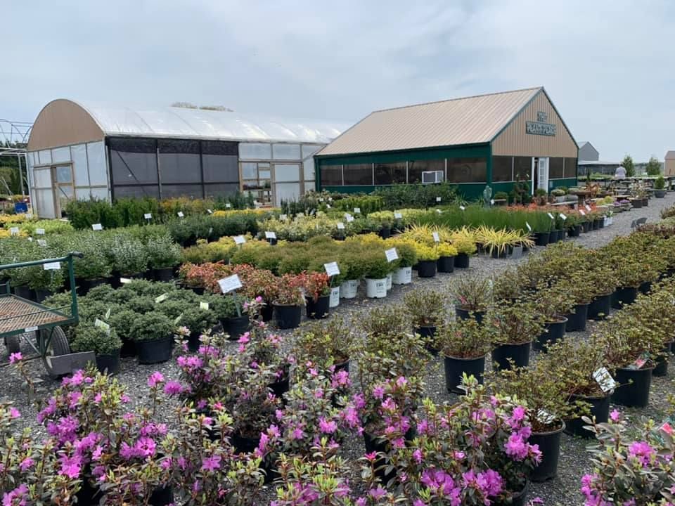 large selection of plants