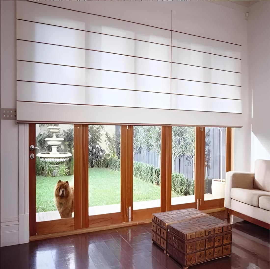 A Dog is Looking Out of a Window in a Living Room — Port Blinds & Awnings In Port Macquarie, NSW