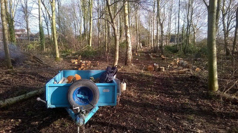 Our woodland maintenance services include tree felling and removal