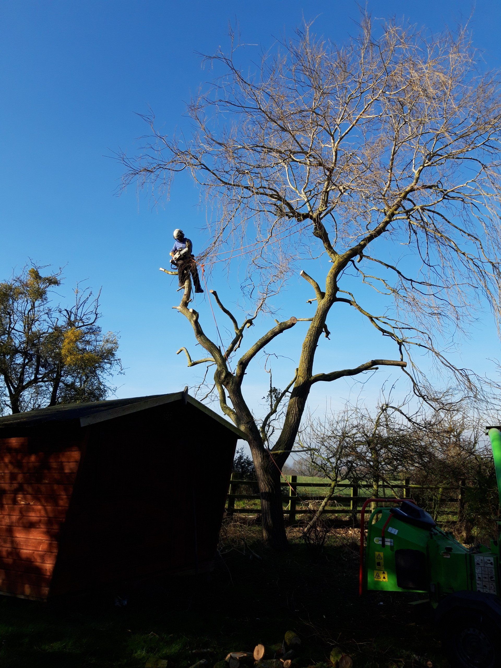 Out tree surgery includes Crown reduction, reshaping, thinning and lifting