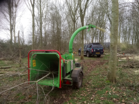 We provide Coppicing services