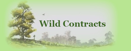 Wild Contracts logo
