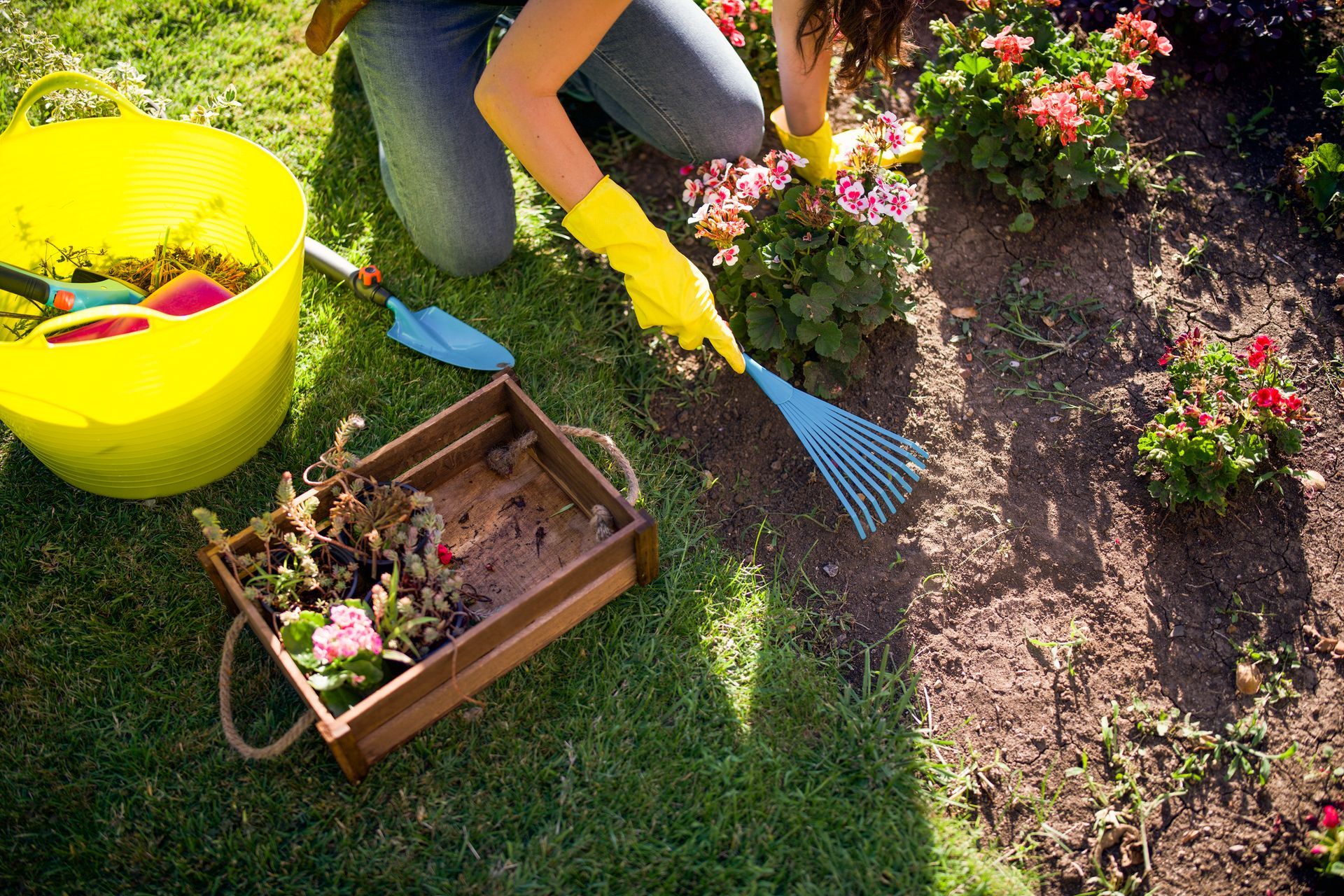 A woman is kneeling down in a garden with a rake.
