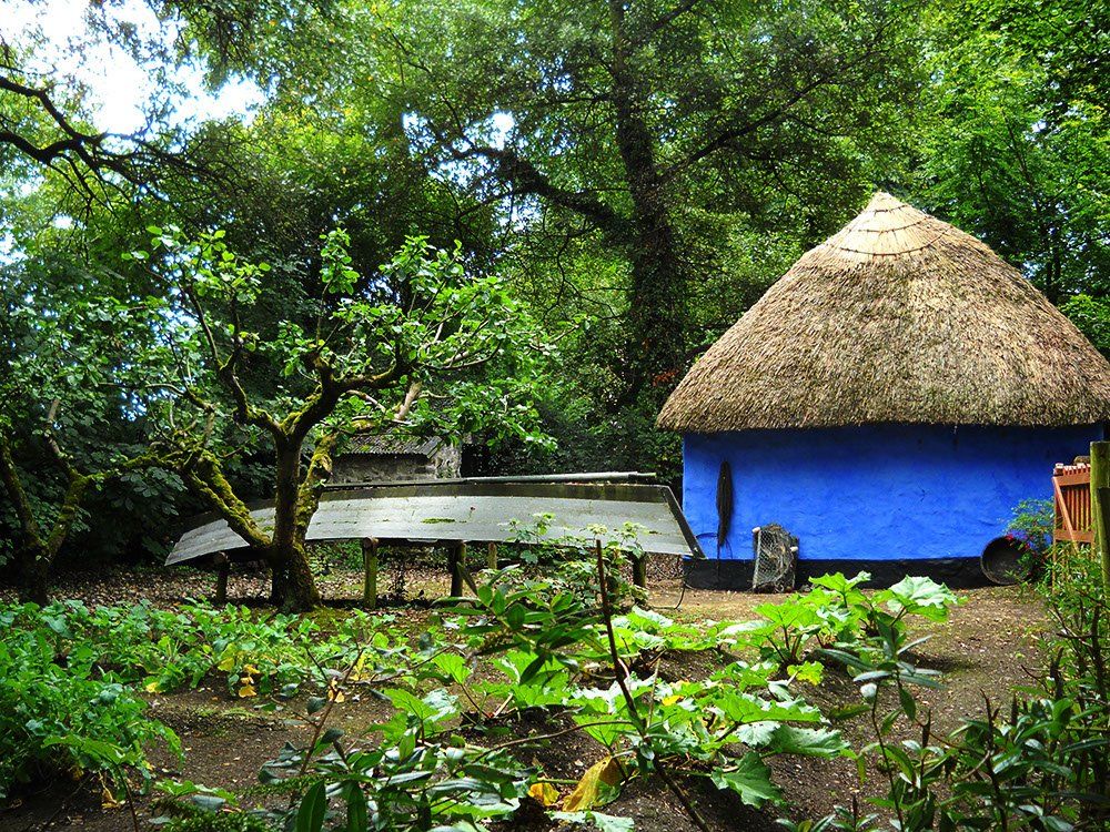 A blue building with a thatched roof in the middle of a forest