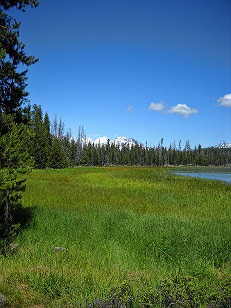 A grassy field with a lake in the background and a mountain in the background.