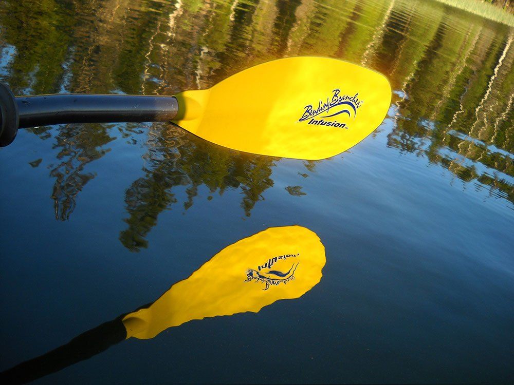 A pair of yellow kayak paddles are floating in the water