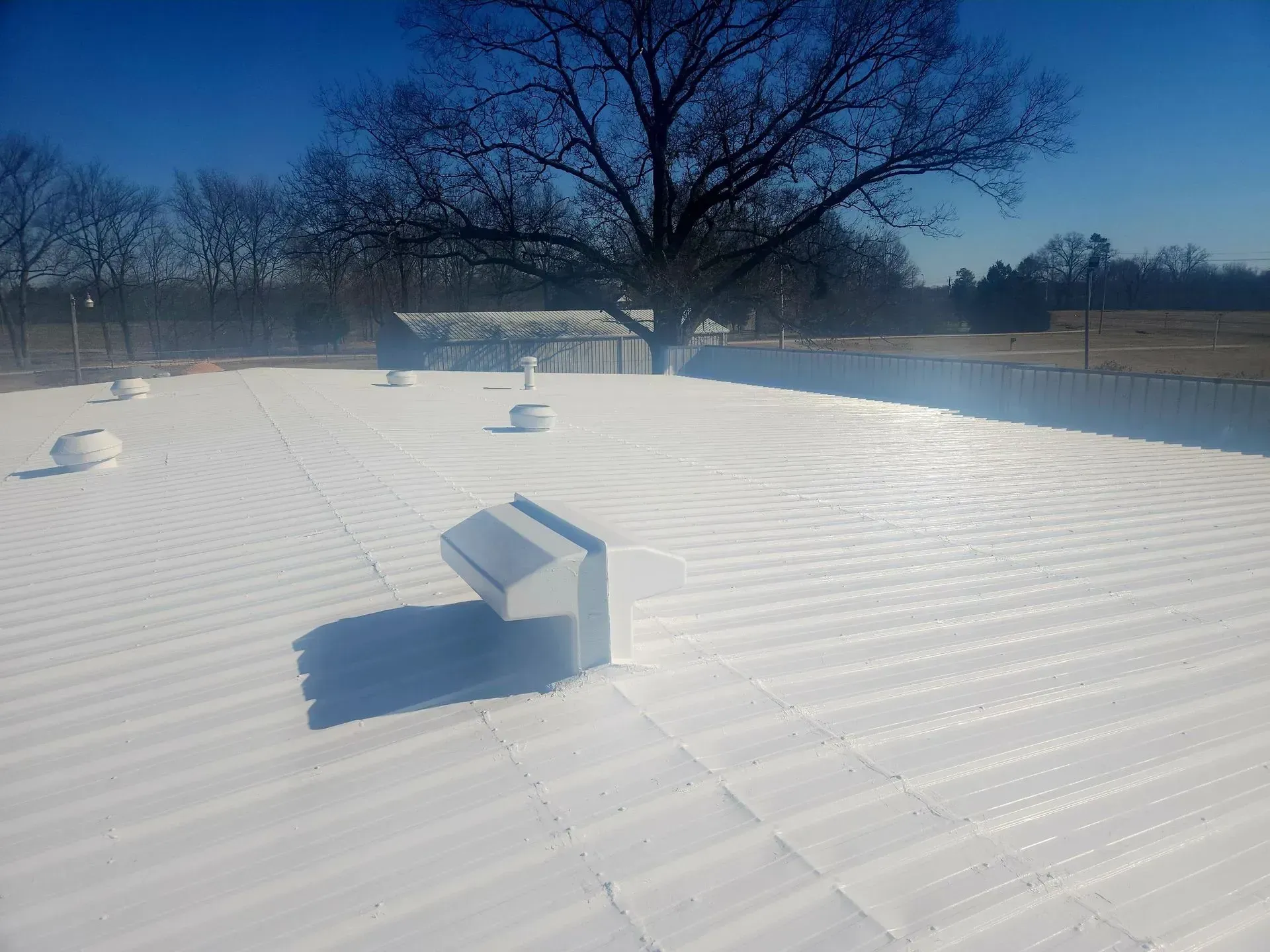 A white roof with a tree in the background on a sunny day.