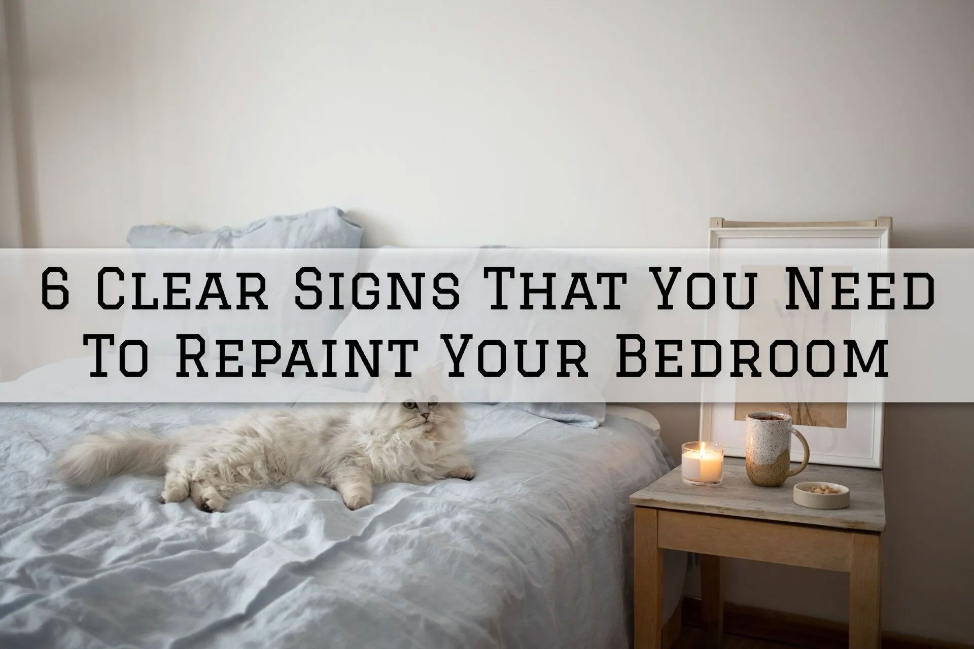 Bedroom scene with text overlay: “6 CLEAR SIGNS THAT YOU NEED TO REPAINT YOUR BEDROOM.”  Fluffy cat on a blue bed.