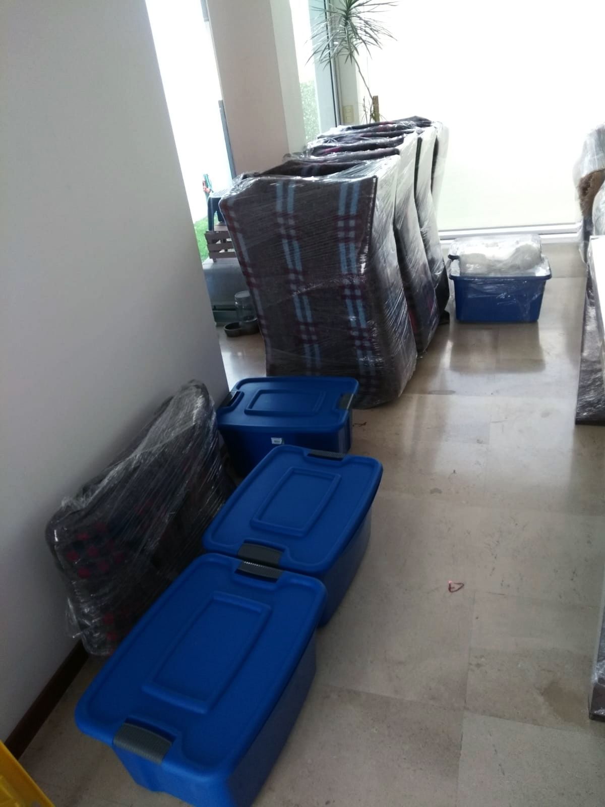 Día de la mudanza: Muebles envueltos, en contenedores azules, en una habitación bien iluminada.