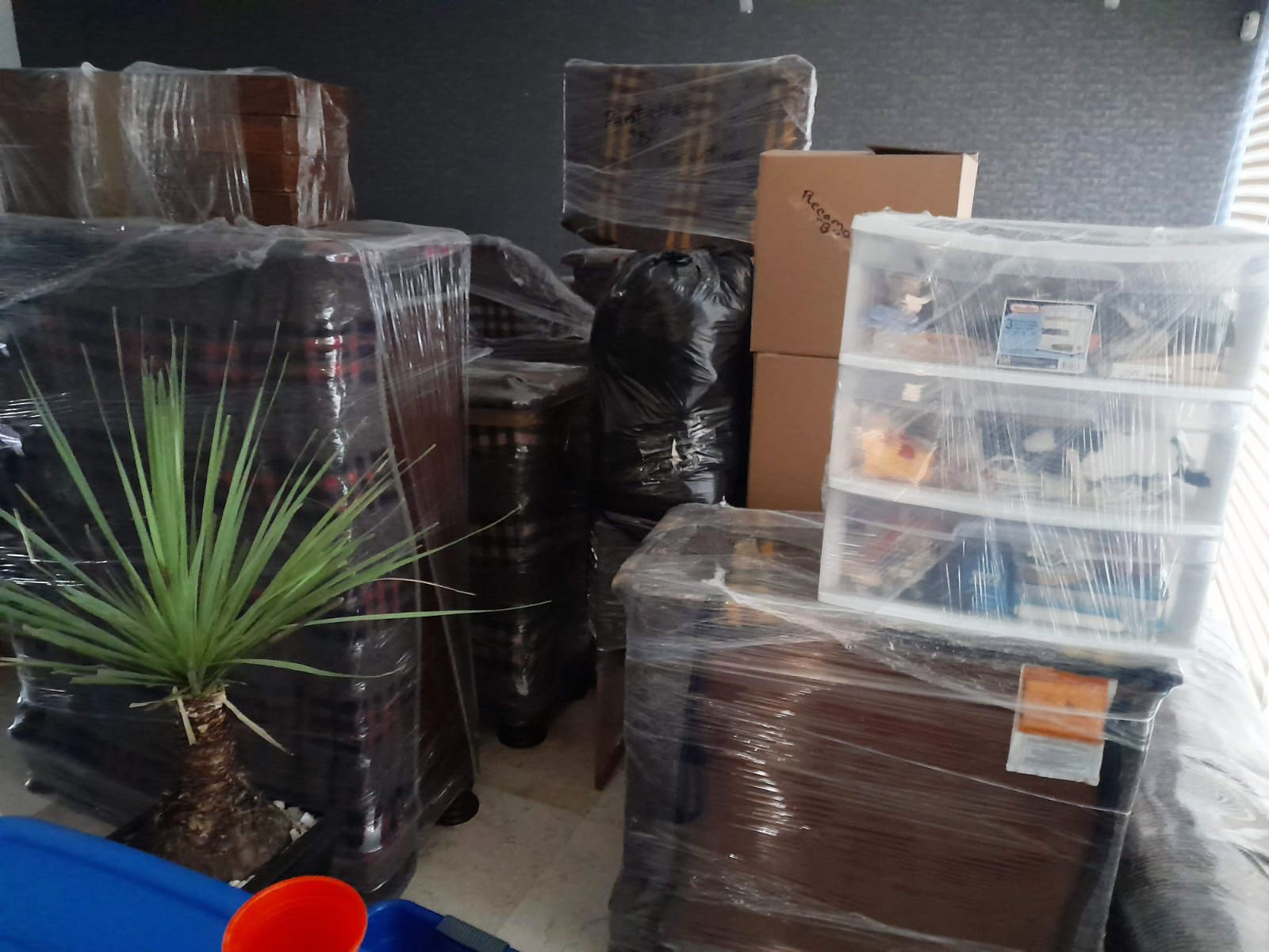 Muebles embalados, cajas y una planta, envueltos en plástico, listos para trasladar al interior.