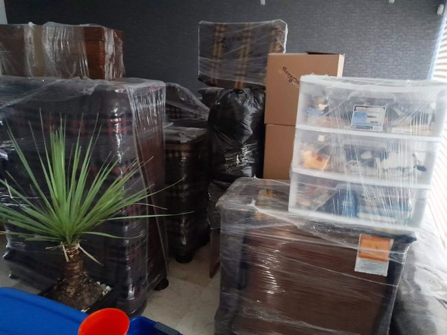 Muebles y cajas envueltos en film plástico, listos para mudar, en una habitación con una planta.