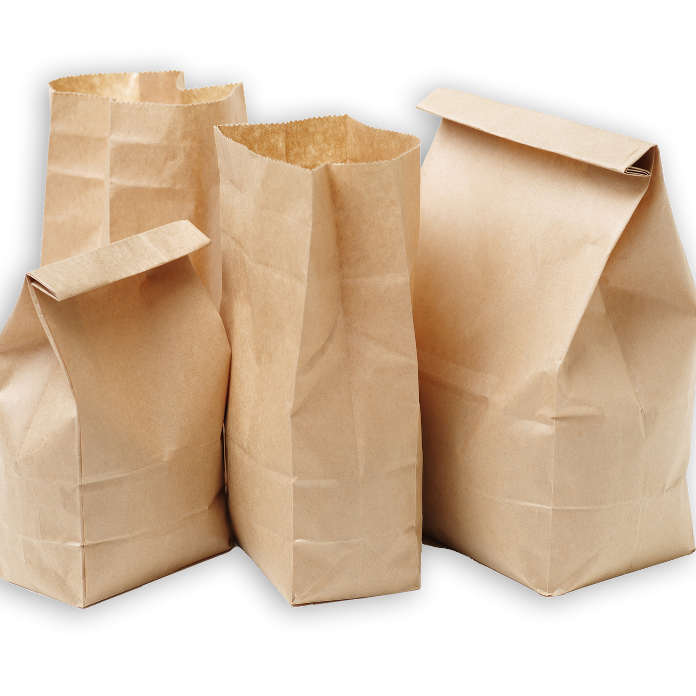 immagine sacchetti in carta