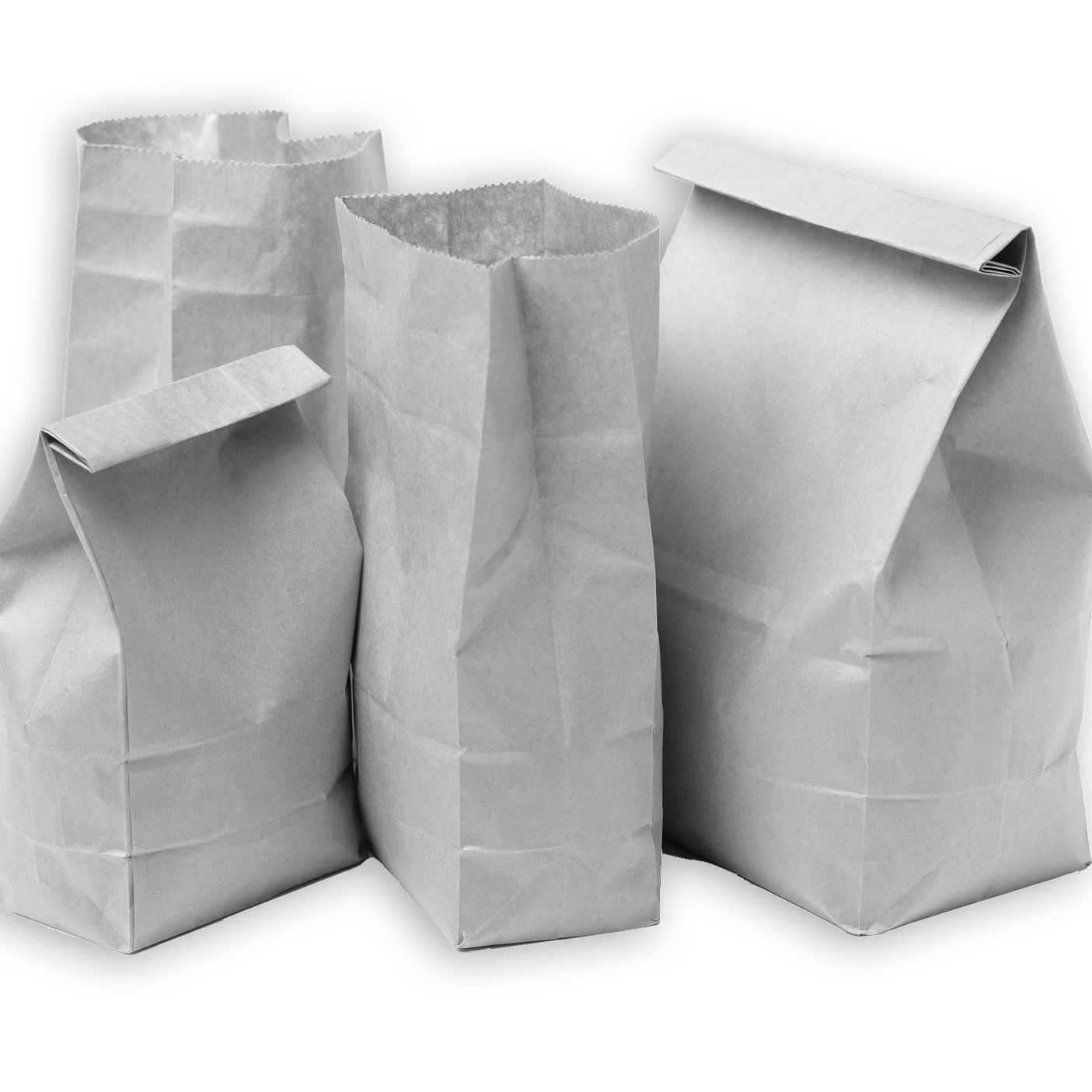 immagine sacchetti in cart bw