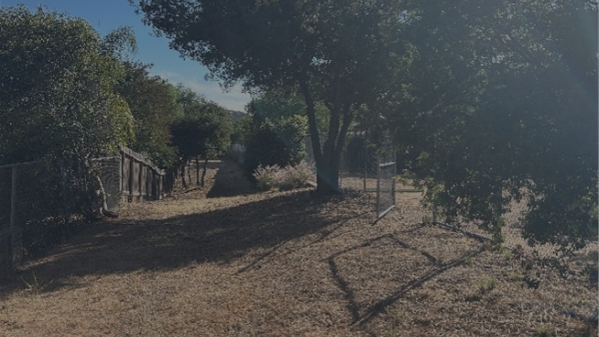 easement between fences cleared of brush and foliage