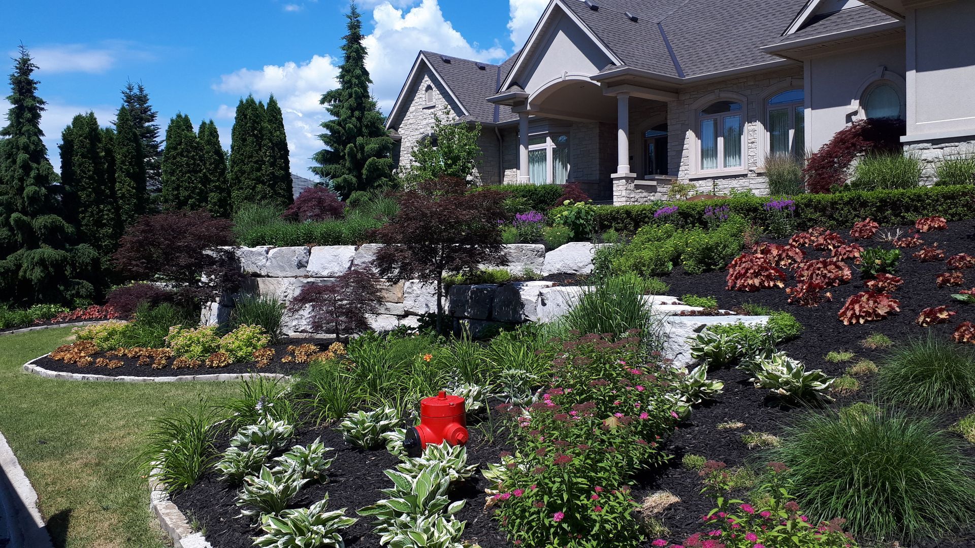 A tiered landscape with stone retaining walls, diverse plants, and dark mulch in front of a large suburban home.