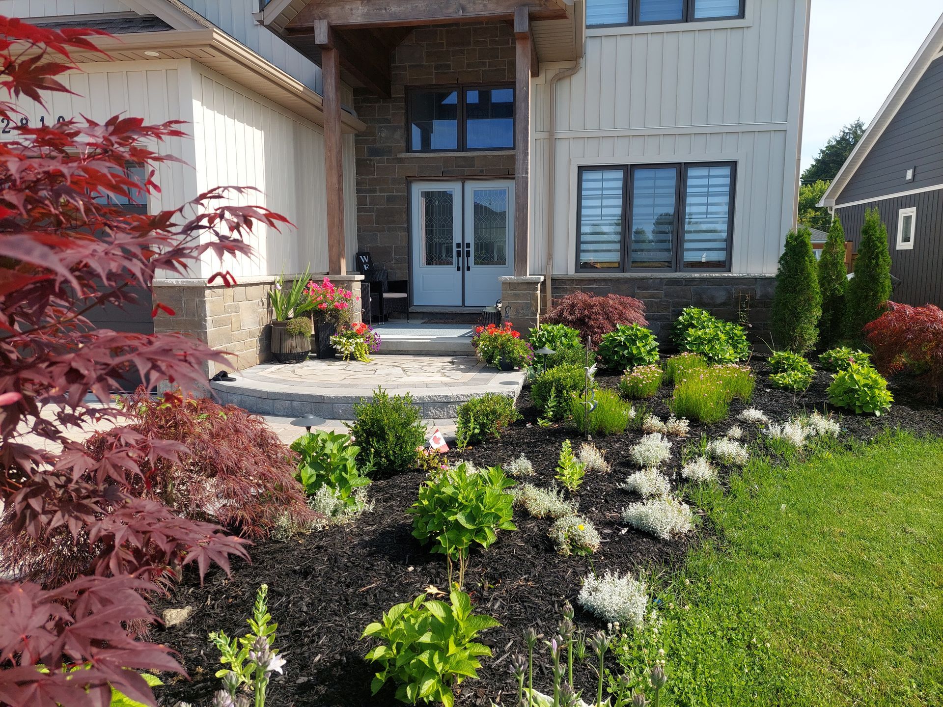 A modern house entrance with a stone pathway, mulch garden beds, green shrubs, and a Japanese maple in the foreground.