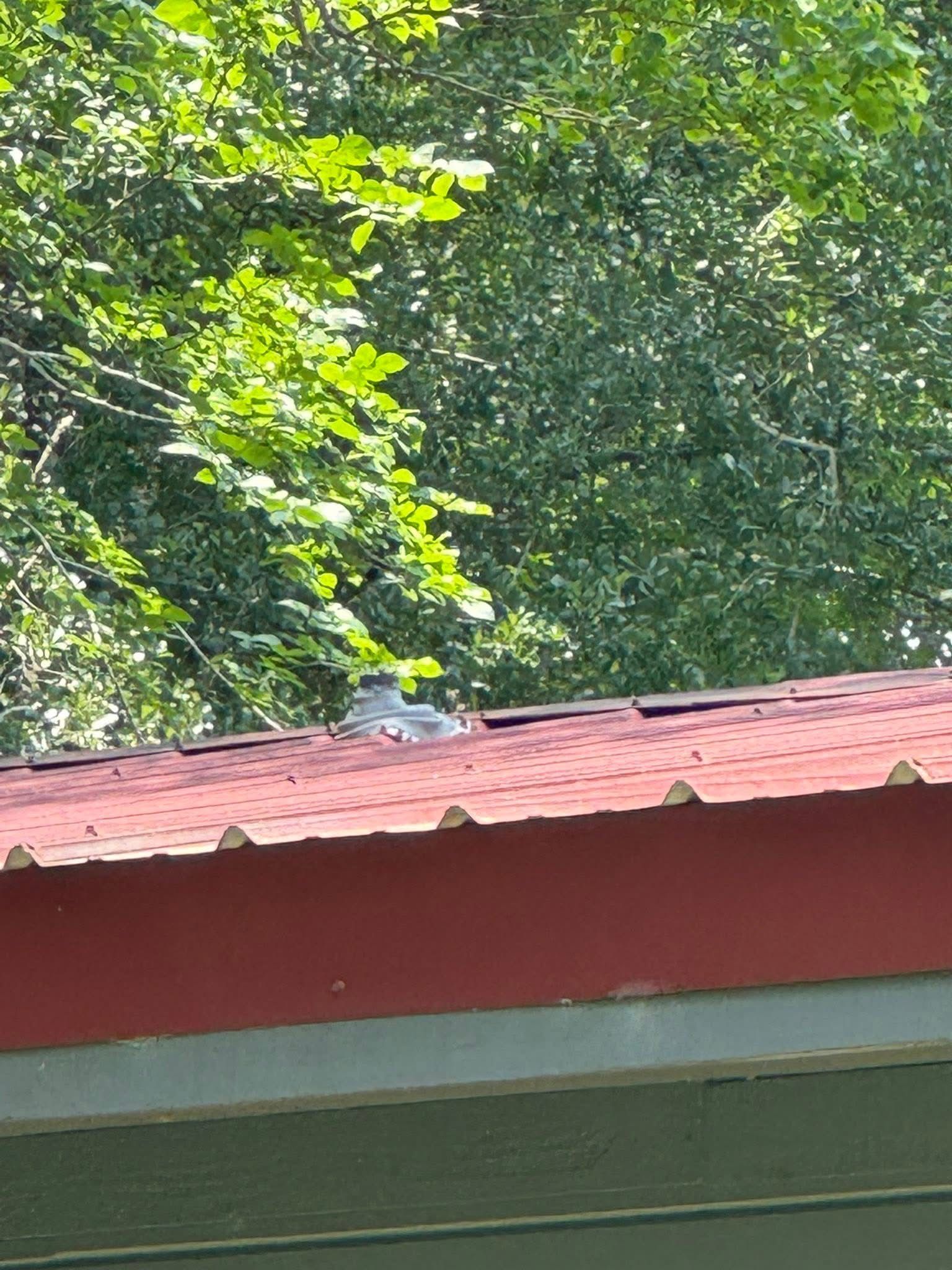 A red roof of a building with trees in the background.
